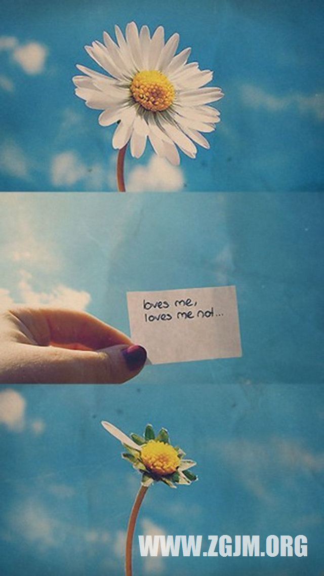 夢見和鄰居說話_周公解夢夢到和鄰居說話是什麼意思_做夢夢見和鄰居說話好不好_周公解夢官網