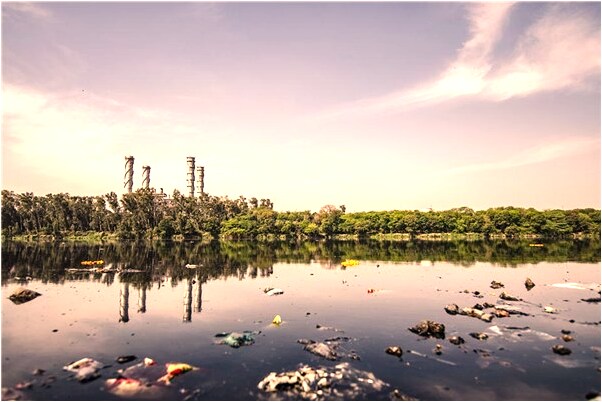 夢到了被雞啄是啥意思_周公解夢官網