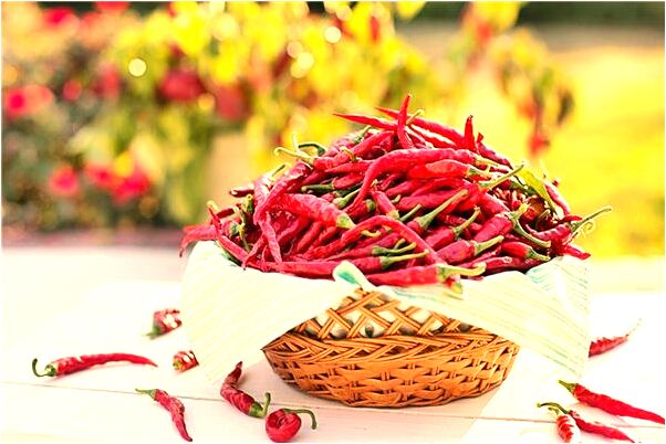 夢到小男孩小女孩有什麼含義_周公解夢官網