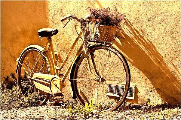 夢見扶著爺爺去公園會是什麼預兆_周公解夢官網