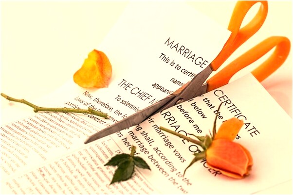 夢到了蜥蜴和蛇裡面都裝有水會有什麼預兆_周公解夢官網