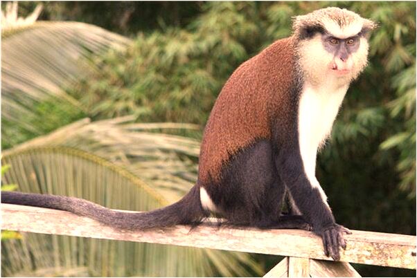 夢見自己和朋友走進皇締的墓是什麼意思_周公解夢官網