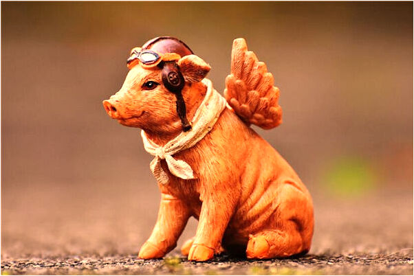 夢到了鄰村同學嘔吐不止是什麼意思？_周公解夢官網