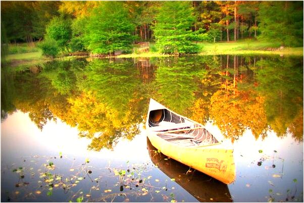 夢見在打雞蛋是好的徵兆嗎_周公解夢官網