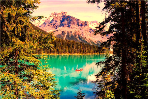 夢到背大料是什麼兆頭_周公解夢官網