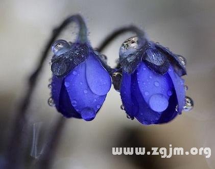 AB型人的花錢習慣_血型性格