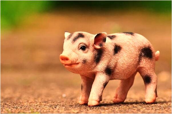 夢到陌生女人發生性關係是什麼徵兆_周公解夢官網