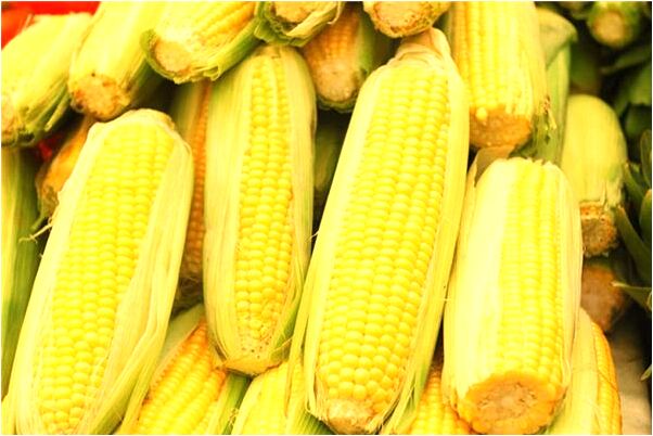 夢到了情人幫我弄木頭帳子是什麼預兆_周公解夢官網