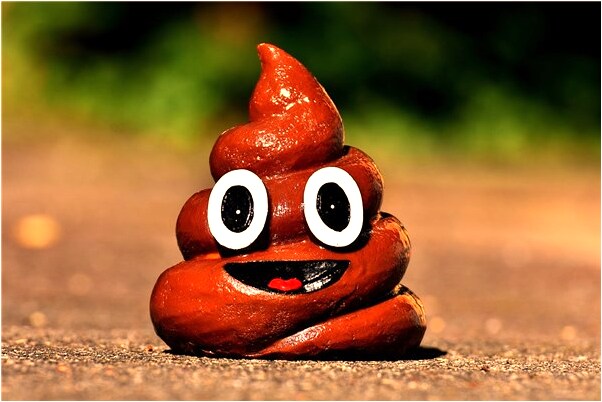 夢到了新單位被火燒了是什麼預兆_周公解夢官網