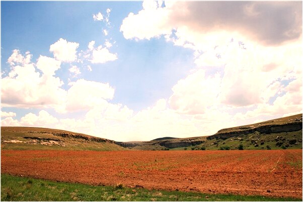 夢見燒螞蜂窩有什麼含義_周公解夢官網