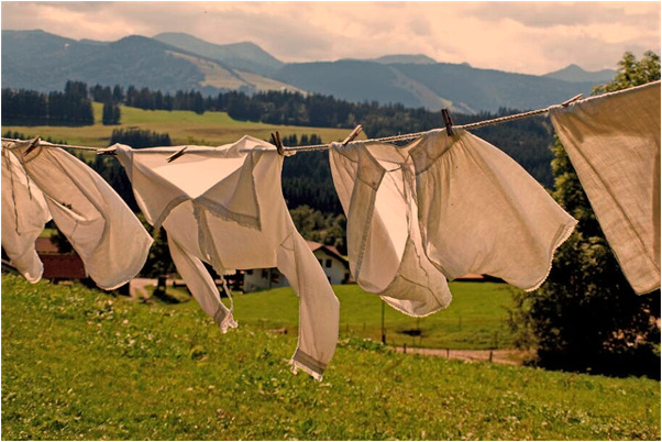 夢到送檔案給校長而校長不高興有什麼徵兆_周公解夢官網