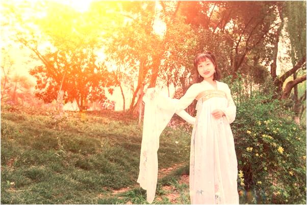 夢到羊貓西紅柿預示著什麼_周公解夢官網