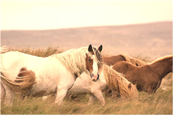夢到一表非凡的男人出我家屋子意味著什麼_周公解夢官網