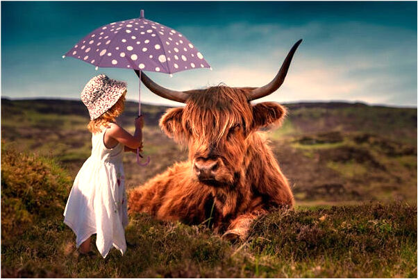 夢見我一潑屎是好事還是壞事_周公解夢官網