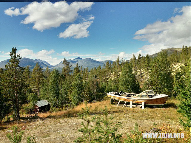 夢見吐出蟲子_周公解夢夢到吐出蟲子是什麼意思_做夢夢見吐出蟲子好不好_周公解夢官網