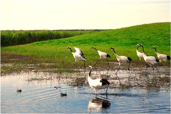 夢到自己買鞋子是怎么回事_周公解夢官網