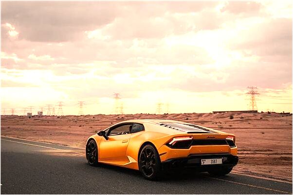 夢見茂盛的竹筍是什麼預兆_周公解夢官網