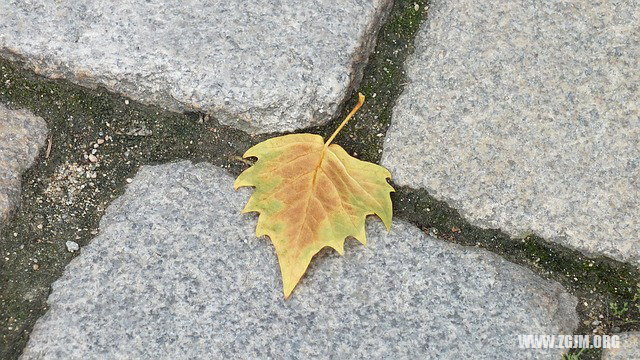 夢見家裡地面塌陷_周公解夢夢到家裡地面塌陷是什麼意思_做夢夢見家裡地面塌陷好不好_周公解夢官網