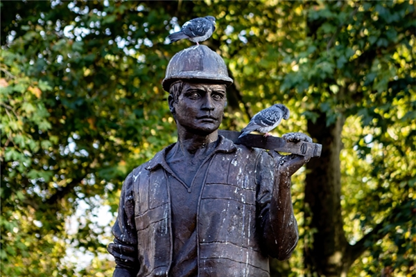 夢到了鳥屎掉頭上預兆了什麼嗎_周公解夢