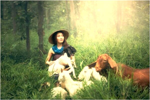 夢到了褲腰帶壞了怎么回事_周公解夢官網