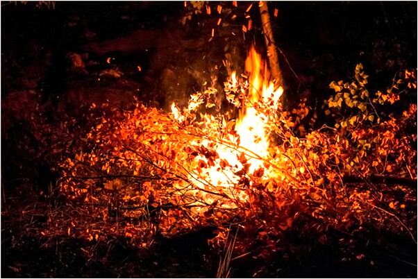 夢見小之一吮吸我的乳頭是不是好的徵兆呢_周公解夢官網