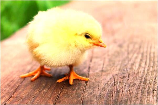 夢到了別人給我治癍有什麼含義_周公解夢官網