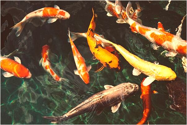 夢到往牆上貼大紅紙是什麼意思_周公解夢官網