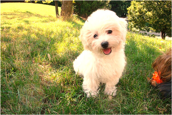 夢見衛生間堵塞的塑膠清理通了怎么樣_周公解夢官網