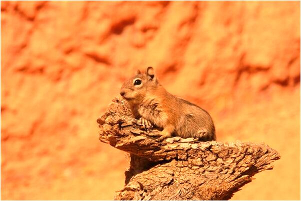 夢到別人把水往我身上潑怎么樣_周公解夢官網