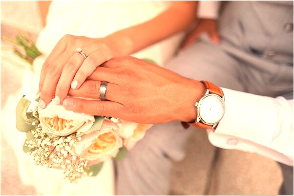 夢到了老闆和狗怎么樣_周公解夢官網