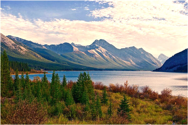 夢見小女孩叫自己是什麼啟示_周公解夢官網