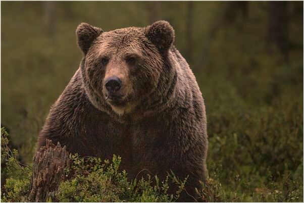 夢到請輸入美女跟自己口交是好事還是壞事_周公解夢官網