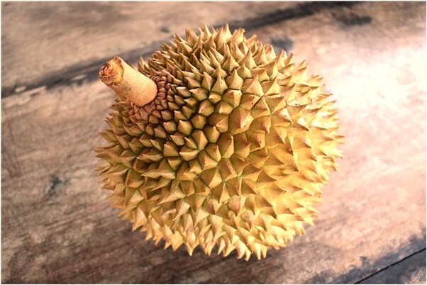 夢到了別人送我一條小魚會是什麼預兆_周公解夢官網