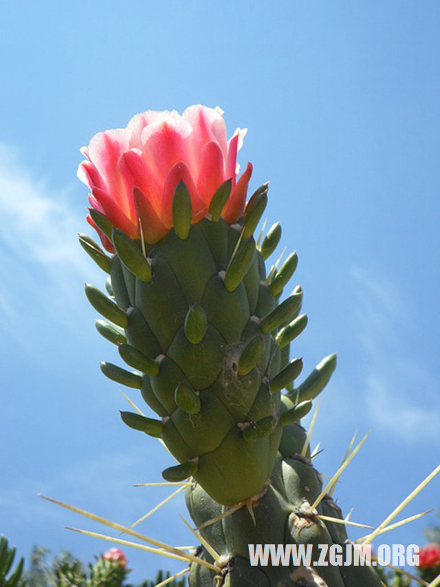 夢見在醫院_周公解夢夢到在醫院是什麼意思_做夢夢見在醫院好不好_周公解夢官網