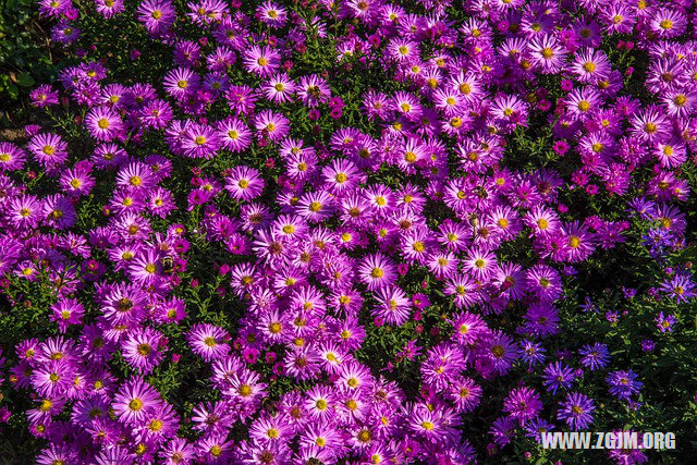 夢見我生了個男孩_周公解夢夢到我生了個男孩是什麼意思_做夢夢見我生了個男孩好不好_周公解夢官網