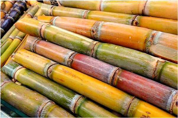 夢到去商店買薯條會怎么樣_周公解夢官網