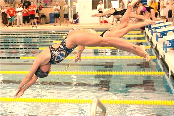 夢見貓在懷裡撒嬌預示著什麼_周公解夢官網