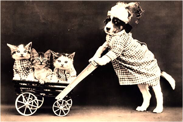 夢見山上挖到錢意味著什麼_周公解夢官網