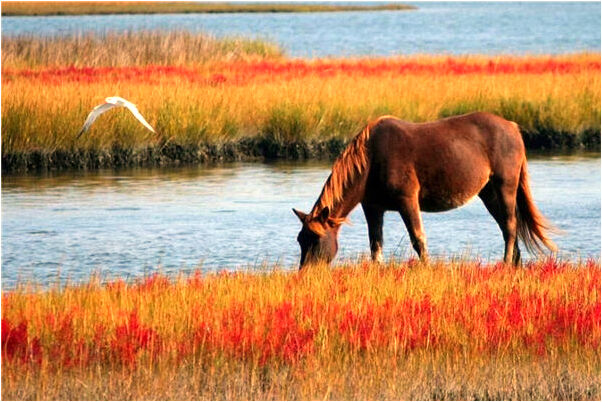 夢到用手摸女人性器官有什麼含義_周公解夢官網