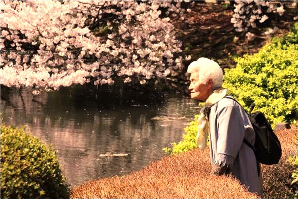 夢到捉蝦又捉魚意味著什麼_周公解夢官網