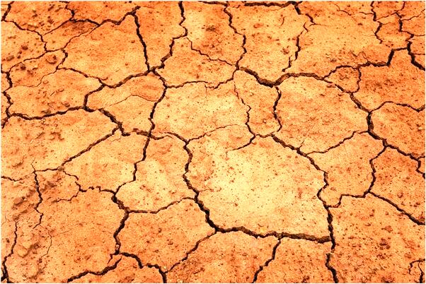 夢見別人全身是血是好是壞_周公解夢官網