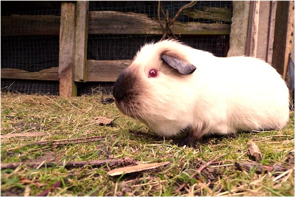 夢見自己的桶被別人摔破了意味著什麼_周公解夢官網